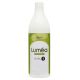 Lumea Developer 1